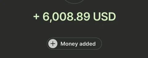 Payment received: 6,008.89 USD
